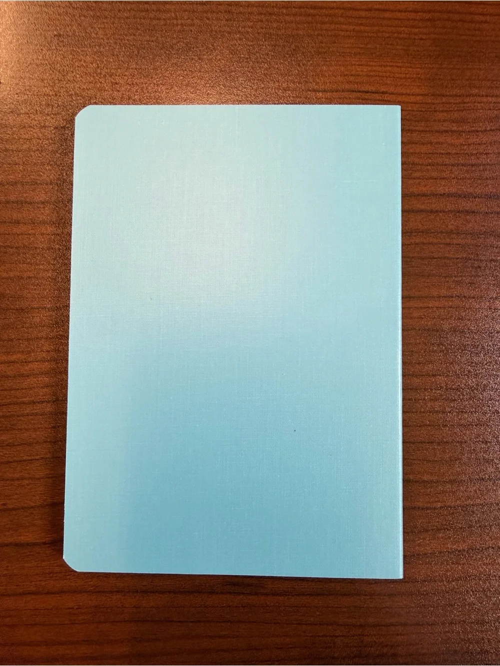 Light Blue Stalogy 1/2 year notebook A6